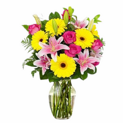 Gerberas